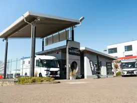 Frankia Camper Center DSC03511