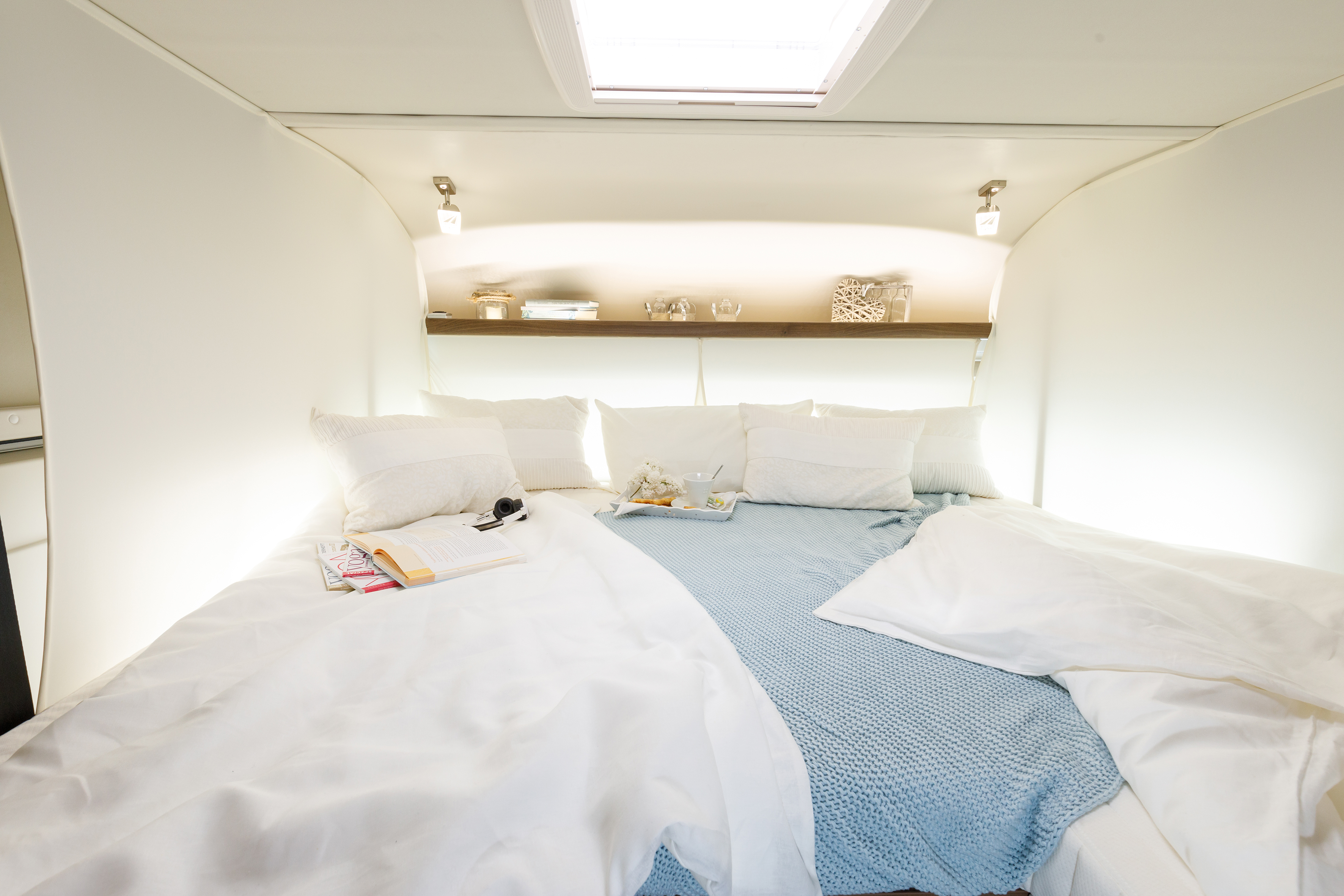 FRANKIA PLATIN Hubbett