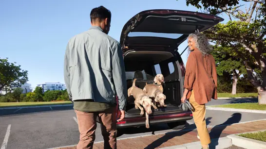 Mercedes T Klasse 10 Mercedes T Klasse 10