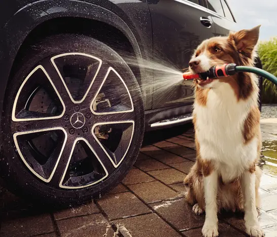 250730 MBCS Komplettraeder KV1 E 00821#03 250730 MBCS Komplettraeder KV1 E 00821#03