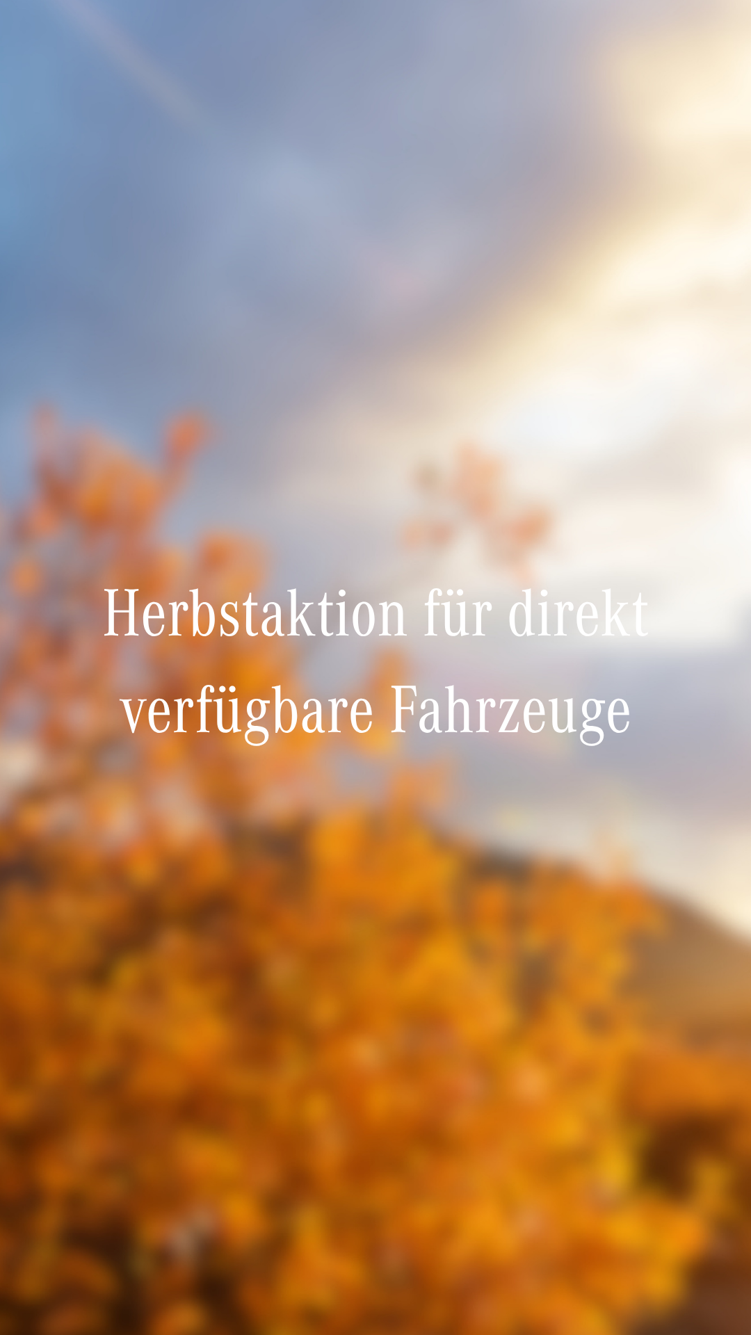 Herbstaktion Für Direkt Verfügbare Fahrzeuge