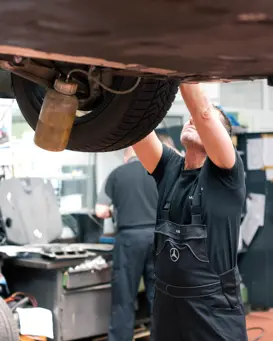 AA1A6519 2 AA1A6519 2