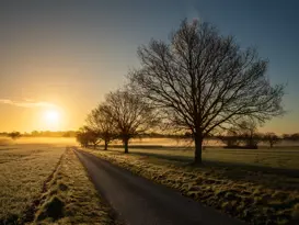 Unsere aktuellen Serviceaktionen 2025 Fall Winter Image 01