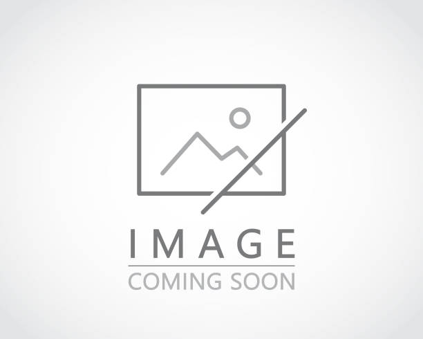 Istockphoto 1396814518 612X612